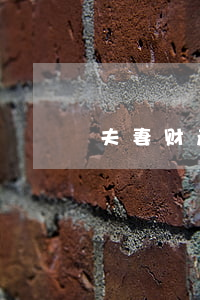 夫妻财产约定的对内效力，法院如何认定？