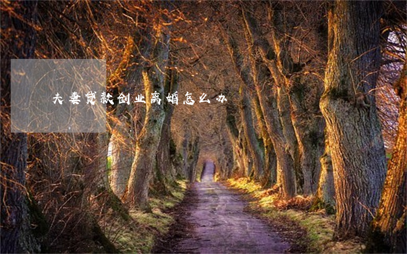 夫妻贷款创业离婚怎么办