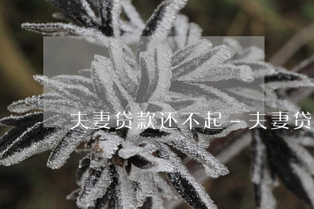 夫妻贷款还不起-夫妻贷款还不起会怎样