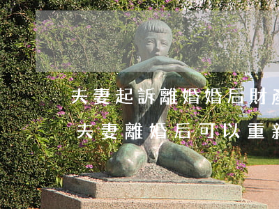 夫妻起訴離婚婚后財產(chǎn)怎么分(夫妻離婚后可以重新起訴財產(chǎn)分割嗎)