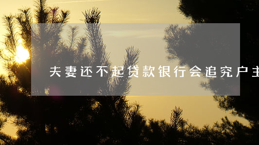夫妻还不起贷款银行会追究户主吗