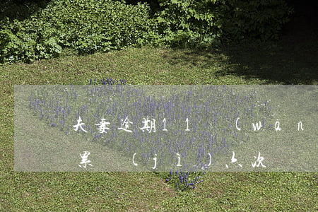 夫妻逾期11萬(wàn)的故事(夫妻逾期累計(jì)六次)