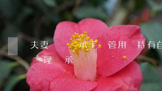 夫妻遺囑繼承手寫管用嗎(持有自書遺囑怎樣辦理繼承)