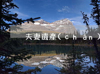 夫妻遺產(chǎn)怎么繼承
