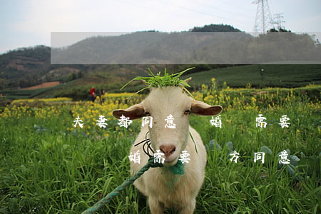 夫妻都同意離婚還需要請(qǐng)律師嗎(離婚需要雙方同意嗎)