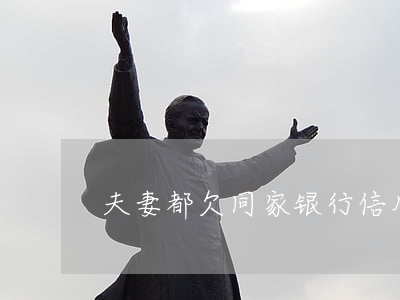 夫妻都欠同家银行信用卡
