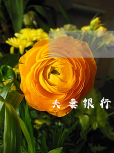 夫妻银行贷款逾期才被起诉