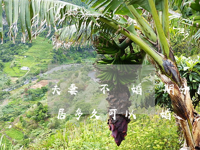 夫妻間不離婚長期分居(夫妻之間感情不和,分居多久可以離婚) 夫妻間不離婚長期分居(夫妻之間感情不和,分居多久可以離婚)