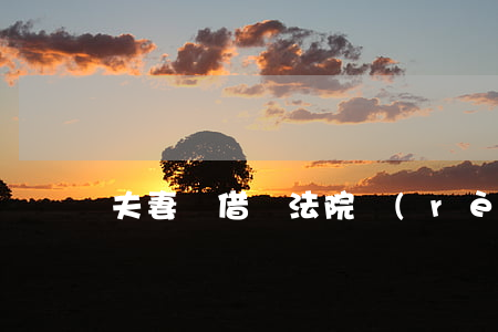 夫妻間借錢法院認(rèn)可嗎