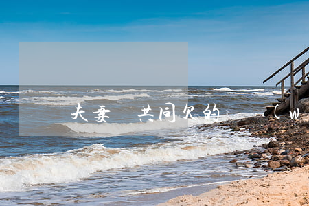 夫妻間共同欠的債務(wù)