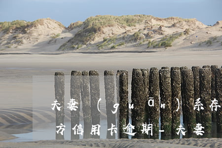 夫妻關(guān)系存續(xù)期間一方信用卡逾期-夫妻關(guān)系存續(xù)期間一方信用卡逾期有影響嗎