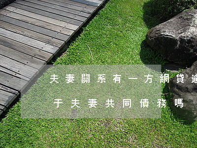 夫妻關系有一方網貸逾期(夫妻一方的網貸屬于夫妻共同債務嗎)