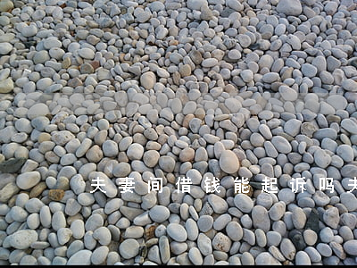 夫妻间借钱能起诉吗(夫妻间借款可以起诉吗)