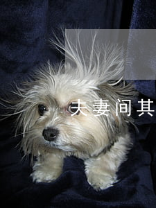 夫妻间其中一方不愿意离婚该怎么办