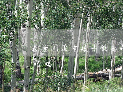 夫妻间没有孩子能离婚吗(有了孩子就不能离婚吗)
