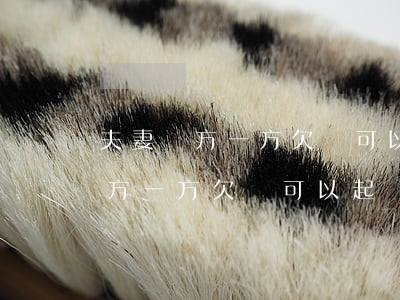 夫妻雙方一方欠錢可以起訴雙方嗎-夫妻雙方一方欠錢可以起訴雙方嗎法院