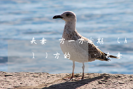 夫妻雙方一方逾期會(huì)扣對(duì)方的錢嗎-夫妻雙方一方逾期會(huì)扣對(duì)方的錢嗎怎么辦