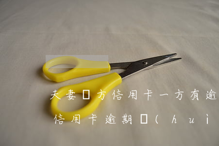夫妻雙方信用卡一方有逾期(夫妻之間有一方信用卡逾期會(huì)不會(huì)影響另一方)