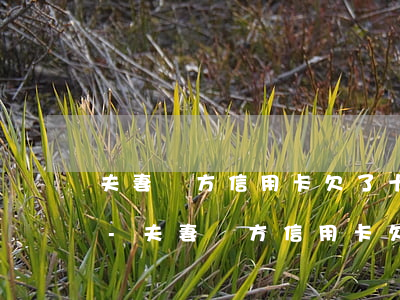 夫妻雙方信用卡欠了十萬(wàn)怎么辦-夫妻雙方信用卡欠了十萬(wàn)怎么辦理