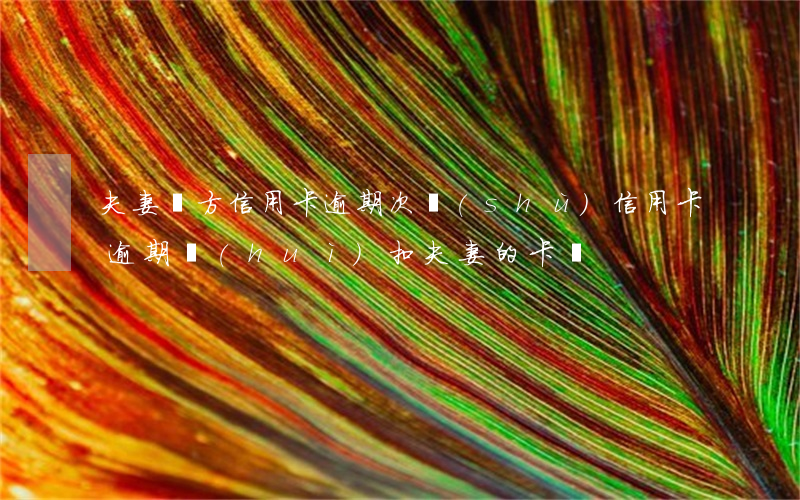 夫妻雙方信用卡逾期次數(shù)(信用卡逾期會(huì)扣夫妻的卡嗎)