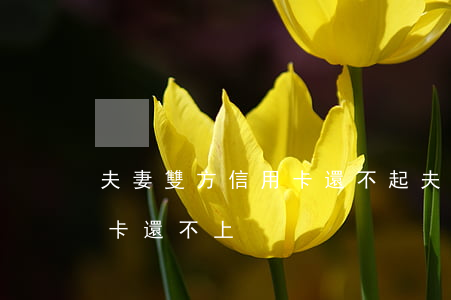 夫妻雙方信用卡還不起(夫妻雙方有一方信用卡還不上)