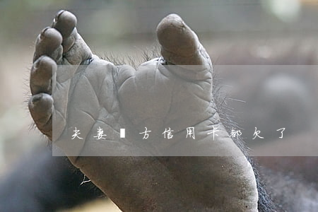 夫妻雙方信用卡都欠了