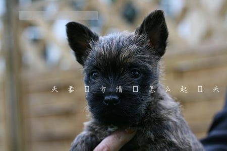夫妻雙方借錢怎么起訴(夫妻間借錢怎么處理)