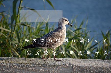 夫妻雙方婚姻存續(xù)期間所購買的商品房，登記在未成年子女名下的所有權歸屬
