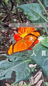 夫妻雙方房貸一人有逾期(夫妻兩個(gè)人買(mǎi)房一個(gè)人有逾期)
