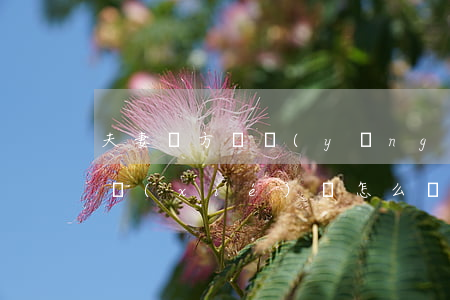 夫妻雙方撫養(yǎng)權(quán)協(xié)議怎么寫