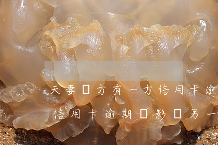 夫妻雙方有一方信用卡逾期(夫妻雙方有一方信用卡逾期會影響另一方買房嗎)