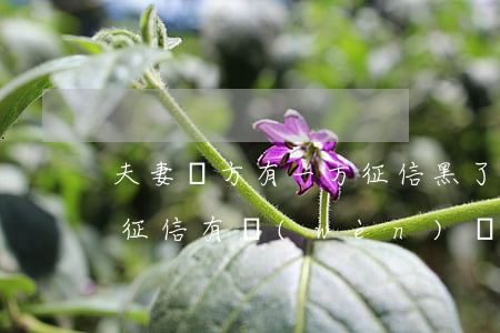 夫妻雙方有一方征信黑了要離婚嗎(夫妻一人征信有問(wèn)題,離婚后還有影響嗎)