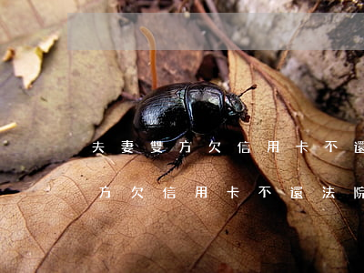 夫妻雙方欠信用卡不還法院怎么辦-夫妻雙方欠信用卡不還法院怎么辦理