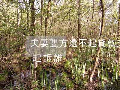 夫妻雙方還不起貸款(夫妻貸款還不上銀行會起訴誰)