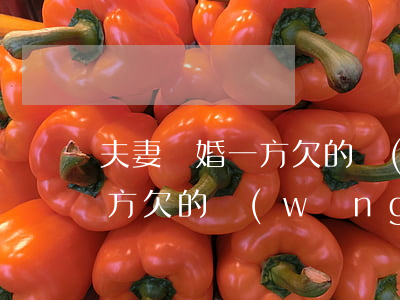 夫妻離婚一方欠的網(wǎng)貸(離婚一方欠的網(wǎng)貸怎么辦)