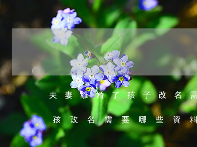 夫妻離婚了孩子改名需要什么資料(離婚后小孩改名需要哪些資料)