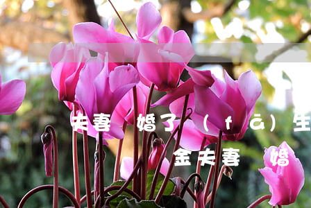 夫妻離婚了發(fā)生交通事故怎么判定(車禍賠償金夫妻離婚該分嗎)
