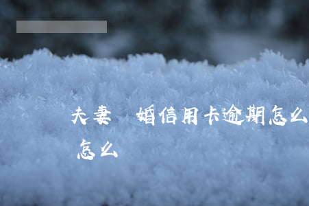 夫妻離婚信用卡逾期怎么處理(離婚欠信用卡怎么辦)