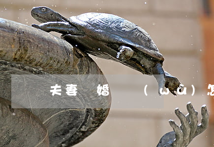 夫妻離婚債務(wù)怎么分配