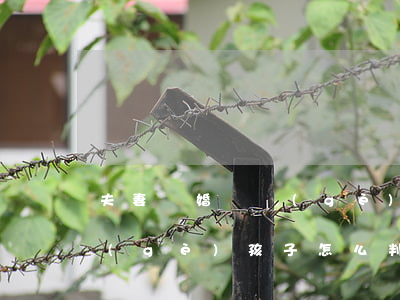 夫妻離婚兩個(gè)孩子怎么判(離婚兩個(gè)孩子怎么判撫養(yǎng)權(quán))