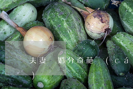 夫妻離婚分奇葩財(cái)產(chǎn)
