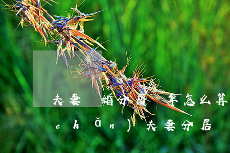夫妻離婚分居兩年怎么算財(cái)產(chǎn)(夫妻分居幾年了離婚財(cái)產(chǎn)怎么分)