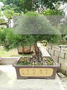 夫妻離婚協(xié)議書財產(chǎn)分割可以反悔嗎?