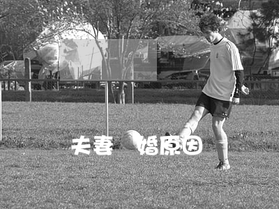夫妻離婚原因