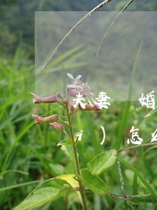 夫妻離婚后子女撫養(yǎng)費(fèi)怎么計(jì)算(夫妻離婚,孩子的撫養(yǎng)費(fèi)一般多少)