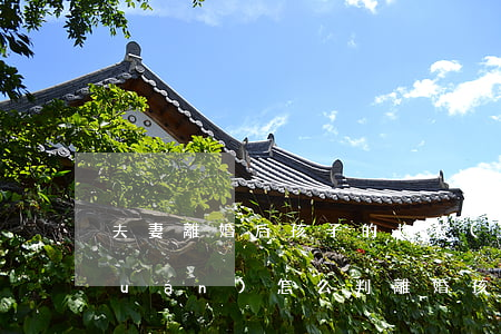 夫妻離婚后孩子的撫養(yǎng)權(quán)怎么判(離婚孩子撫養(yǎng)權(quán)一般怎么判)