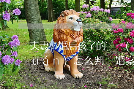 夫妻離婚后孩子的撫養(yǎng)權(quán)怎么判(離婚案孩子的撫養(yǎng)權(quán)一般怎么判)