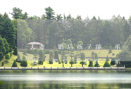 夫妻離婚后孩子能繼承權(quán)嗎(夫妻離婚后子女有繼承權(quán)嗎)