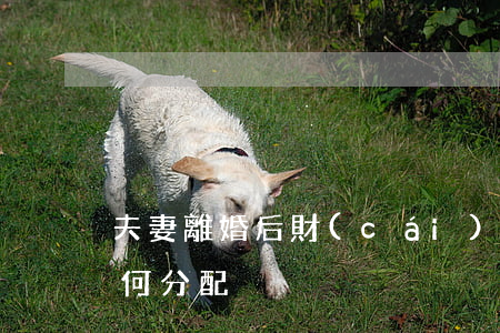 夫妻離婚后財(cái)產(chǎn)如何分配