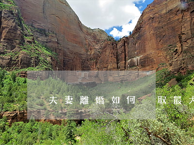 夫妻離婚如何爭取最大的權(quán)益